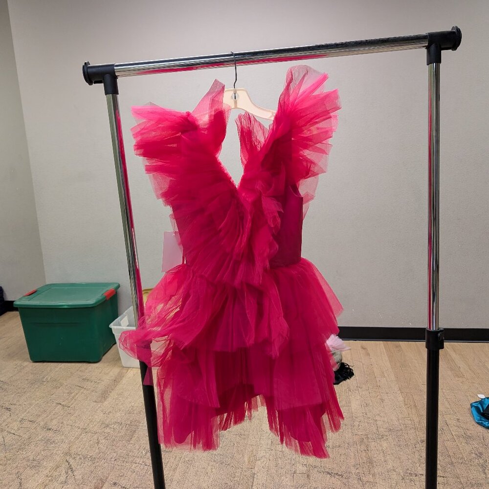 Pink Ruffle Dress